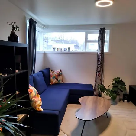 Cozy Close To Downtown Apartment
